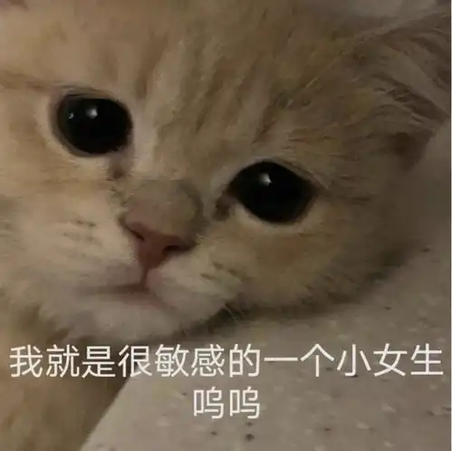 我崩溃了表情包柿子