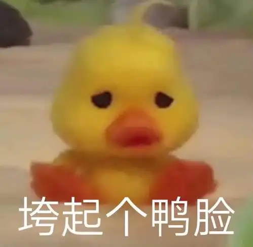  晨间日记看见女性劳动者