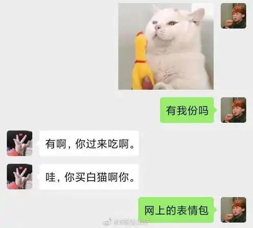 猫咪开心表情包李焕英