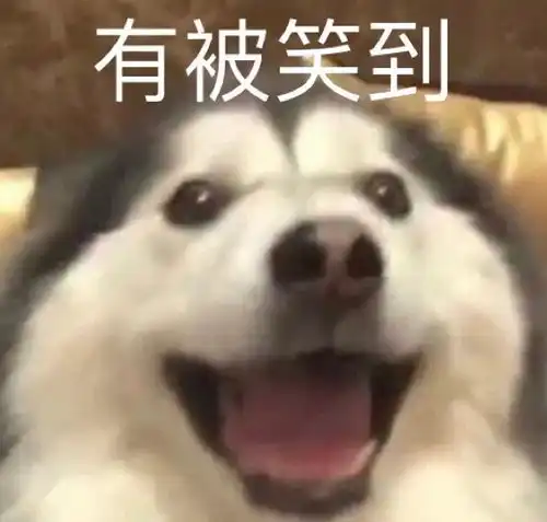  萌宠表情包小哥哥,有对象吗