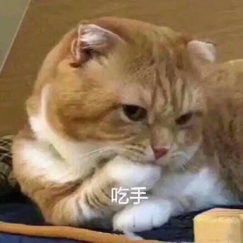  公司放假了,我开车回老家看看,正好逢集,我就把车停在路旁赶集