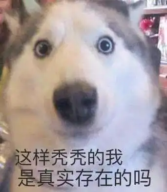 脱粉表情包秃头