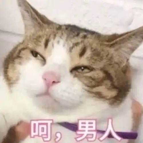 我不喜欢女人表情包挂科