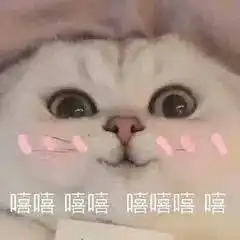  定期重疾险选择10年还是20年重疾新规下重疾险到底怎么买