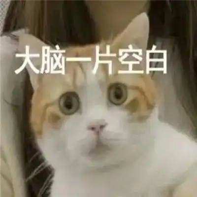  表情包大脑一片空白