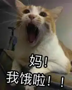  二十三糖花粘,过了小年是大年
