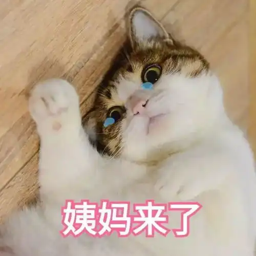 手头紧的表情包