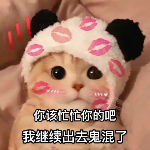  萌宠表情包过来宝贝