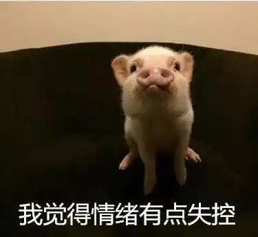  比熬夜更羞耻的,是想睡觉时却失眠
