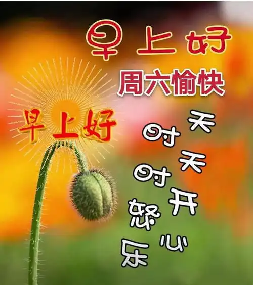 11月1日周日群发清晨早上好问候祝福动态表情图片