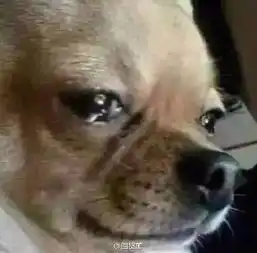  孩子是好孩子,妈妈正不正经就不知道了