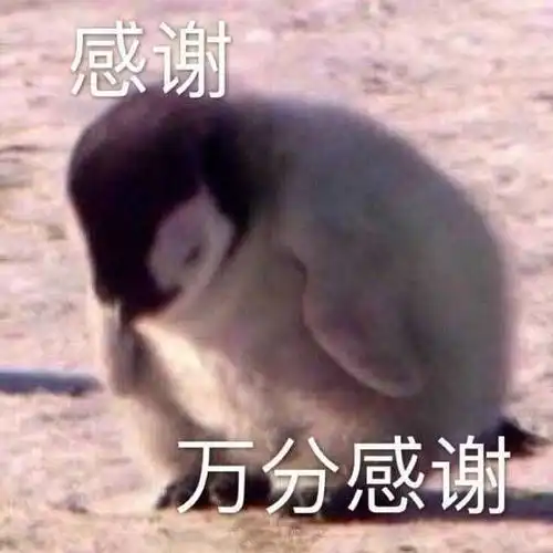 有没有适合给老师发的表情包
