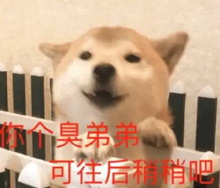 小哈皮表情包道歉信