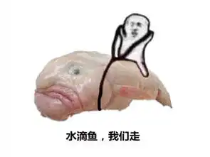  皮皮虾表情包走红皮皮虾海鲜王争霸表情包大全