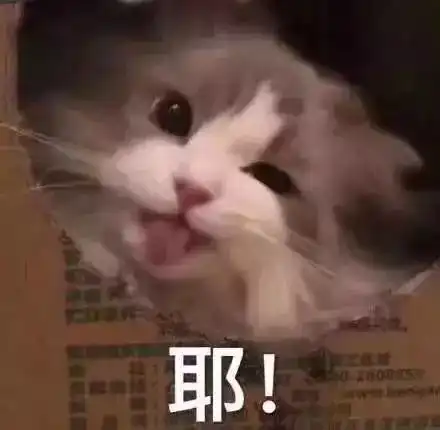 撒娇表情包图片机会