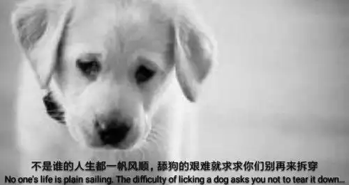  来自steam玩家的灵魂拷问,对一起游戏的女生表白能成吗