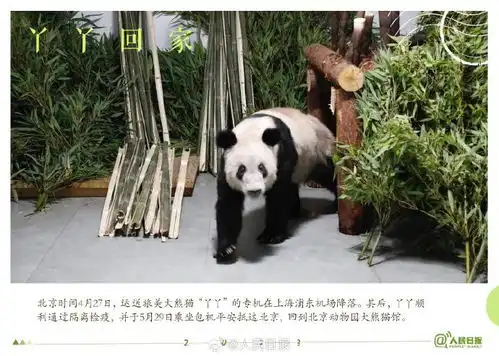  盘点打开这组明信片,记录我们一起走过的2023