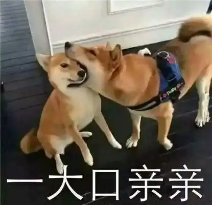  o收藏夹
