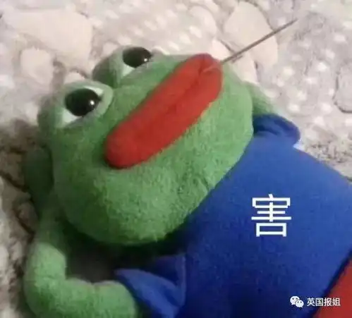  怼完国内怼国外,毒舌张文宏医生,请你停止散发这该死的魅力