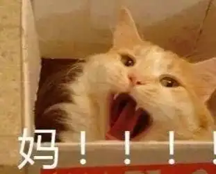 龙图表情包杀妈表情