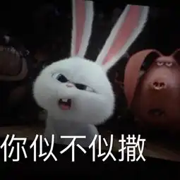  表情包爱宠大机密