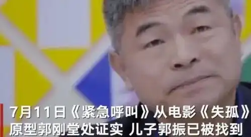 我现在只想发财表情包刘