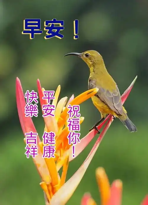  9张秋日有创意早上好免打字图片带祝福语2021秋日温馨的早上好问候语图片精选