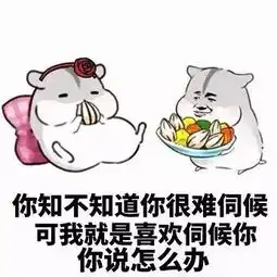  实不相瞒,最大的乐趣就是