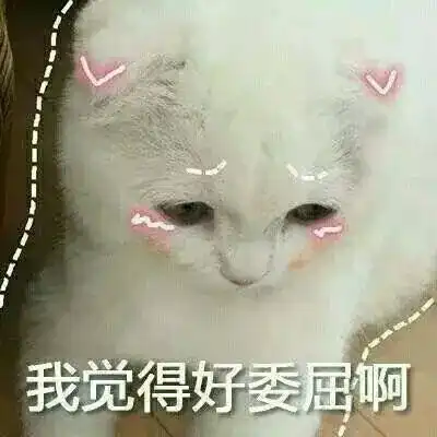  撩男朋友的猫咪表情包30张