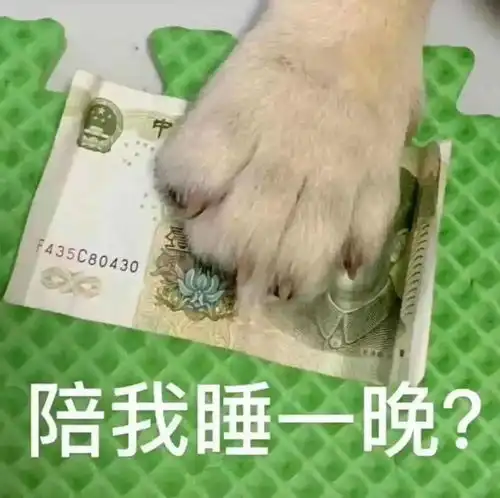  套路聊天表情包