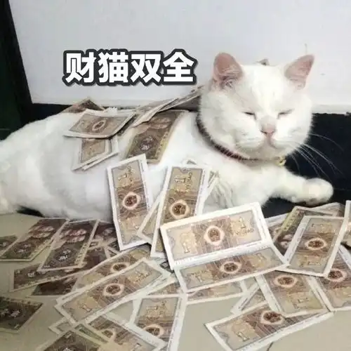  猫咪表情包如果我是一只咸鱼,那就让我快乐每一天