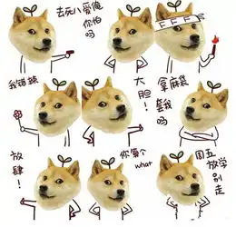  我的表情包去世了再见小柴