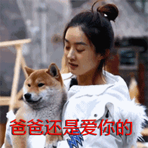  赵丽颖向往的生活,又是一套表情包