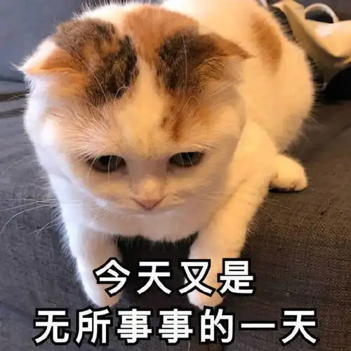 小表情包尺寸眼神
