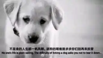  凌霜染烟墨的微博微博