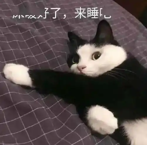  套路聊天表情包
