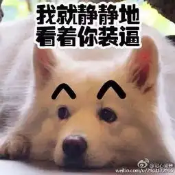  用了那么多年宠物表情包,它们本尊都是谁笑死个人
