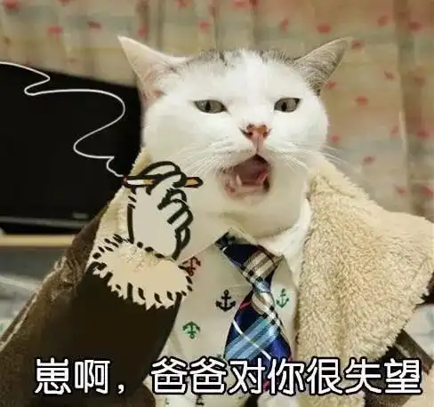  别人家父母的爱情霸道裁缝爱上我斗地主之系统安排的缘分村花和小混混的乡村爱情