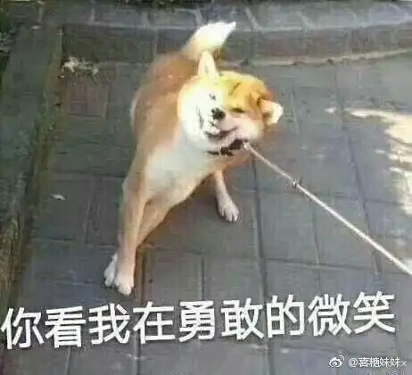 表情包开心什么意思段子