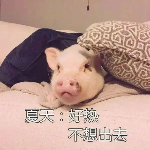  古人没有空调何以解暑
