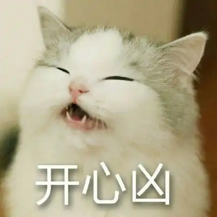  超开心表情包