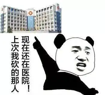  熊猫头表情包i本宫忍你很久了