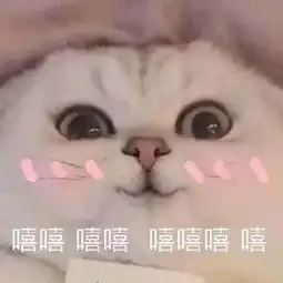  猫咪表情包电死你个小可爱