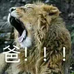  有喊爸妈的表情包吗,求