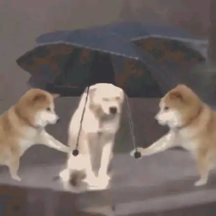 谢谢的可爱表情包狗狗