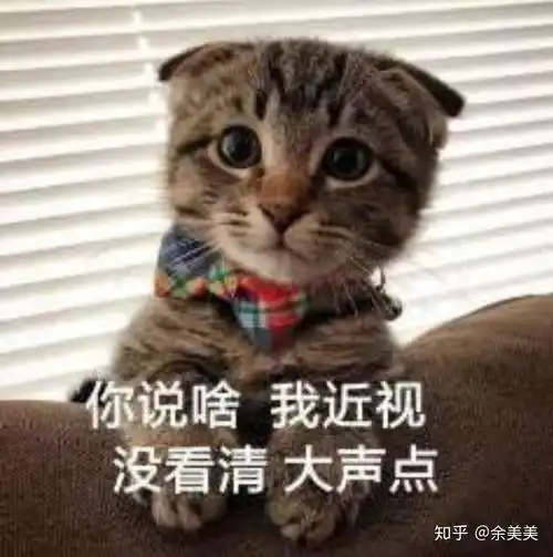  你平常聊天会用哪些敷衍的表情包