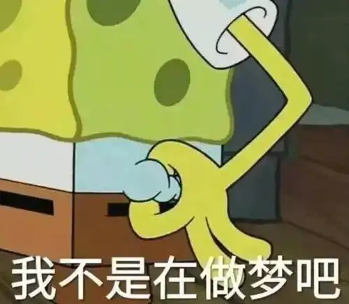  被npc绿了后,我一宿没睡着觉