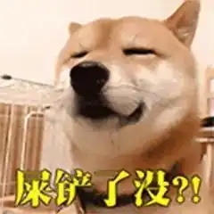  柴犬丨汪界表情包的鼻祖