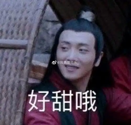 磕cp表情包博君一笑cp