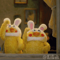  大年初二,大鸡大利